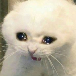 Meet your Posher, Jesus